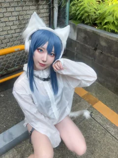 作品写真 / 作品写真